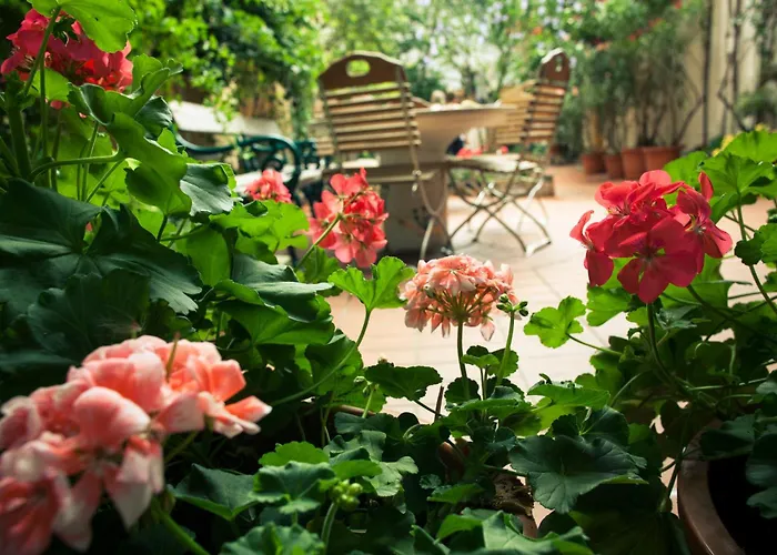 Vienna RuthensteinerHostel